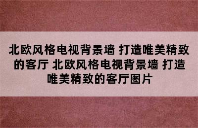 北欧风格电视背景墙 打造唯美精致的客厅 北欧风格电视背景墙 打造唯美精致的客厅图片